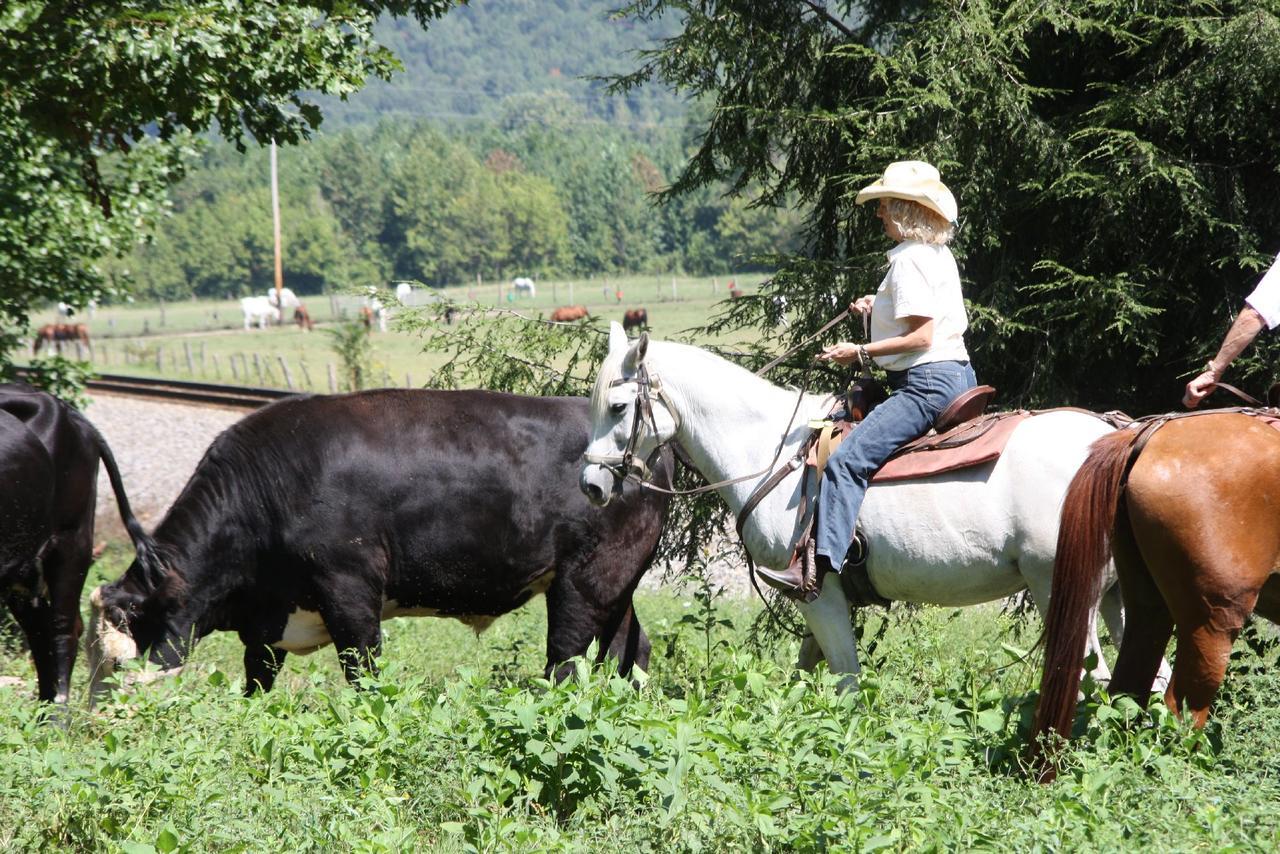 Hotel French Broad Outpost Ranch Del Rio Exteriér fotografie